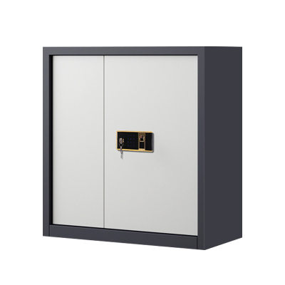 东升顺指纹电子保密柜钢制密码文件柜档案柜办公柜矮柜保密资料柜单节灰白钥匙指纹