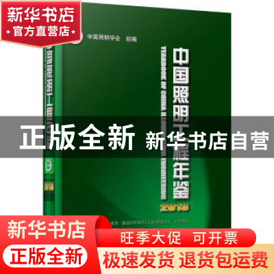 正版 中国照明工程年鉴:2013 王锦燧主编 机械工业出版社 9787111