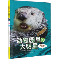音像动物园里的大明星 海獭(日)池田菜津美