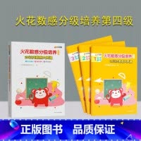 [正版]新书 火花数感分级培养第四级:20以内数感大贯通 火花思维研发中心 儿童数学启蒙 小学入学准备 书