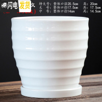三维工匠北欧花盆陶瓷带托盘大号特大号白色简约个性绿萝多肉花盆 TX钻石白-螺纹 特大花盆容器