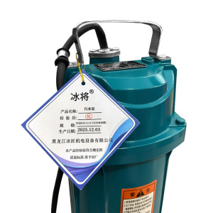 冰将 220V高扬程污水泵深井泵 台