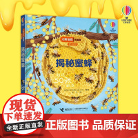 揭秘蜜蜂 3-6岁 英国尤斯伯恩出版公司 著 科普百科