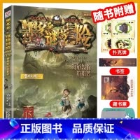 15.海龟岛的者 [正版]墨多多谜境冒险系列全套33册原版阳光版第二季小说全集谜境探险书籍新文字版雷欧幻像着儿童探险