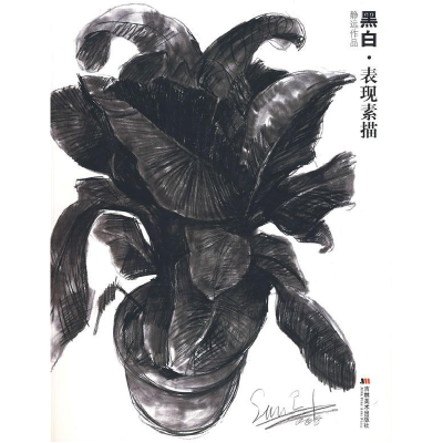 正版新书]静远作品:黑白·表现素描孙静远 绘9787538623475