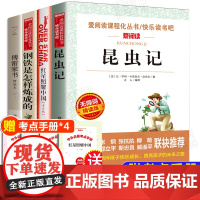 八年级课外书籍上册下册必读全套4册 红星照耀中国昆虫记法布尔正版原著钢铁是怎样炼成的和傅雷家书初中生青少年版名著书籍完整