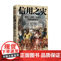 信用之灾 暴力 钱荒 泡沫与英国金融革命 卡尔·文纳林德 著 历史