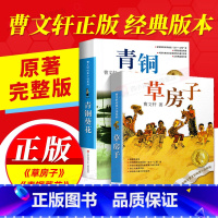 草房子+青铜葵花 [正版]草房子曹文轩著原著完整版儿童读物小学生课外阅读书籍必读书文学名著6-12岁四年级下册书精品