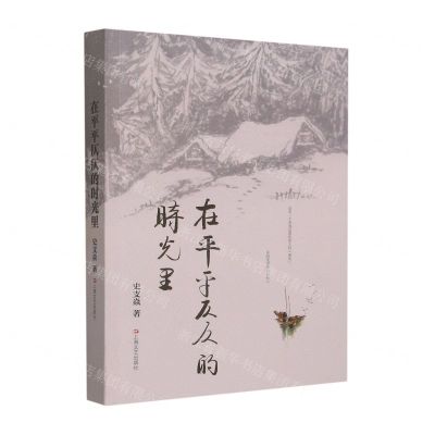 [N]在平平仄仄的时光里-9787532186792