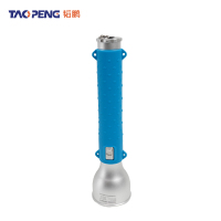 韬鹏 手电筒 1/3W 个