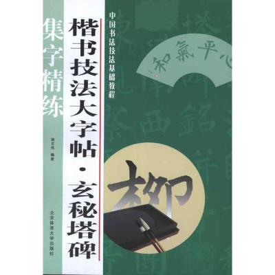 正版新书]楷书技法大字帖.玄秘塔碑施志伟9787564409098