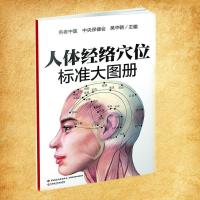 正版新书]人体经络穴位标准大图册无9787501997886