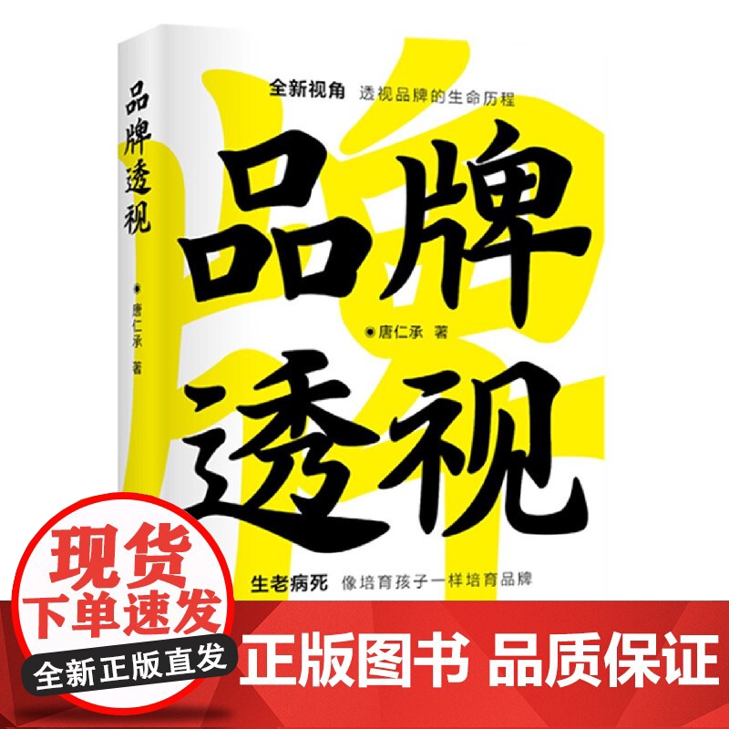 品牌透视