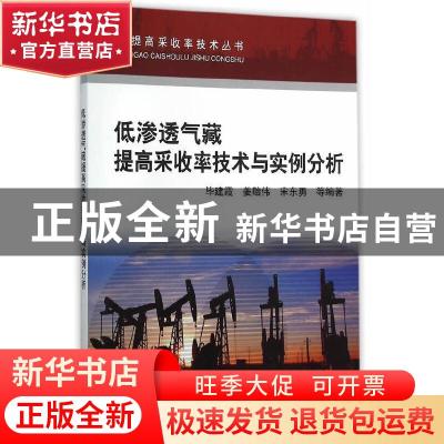 正版 低渗透气藏提高采收率技术与实例分析 毕建霞,姜贻伟,宋东