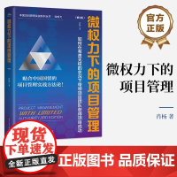 微权力下的项目管理:如何在有责无权的状况下带领项目团队获得项目成功(第3版) 肖杨 著 生产与运作管理经管、励志