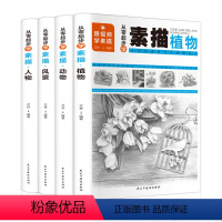 [正版]从零起步学素描4本套画画素描书从入门到精通零起步基础教程静物植物动物人物风景铅笔手绘速写绘画画册成人起步美术科