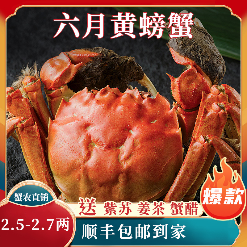苏州精品大闸蟹鲜活六月黄螃蟹河蟹2.5两8只装公母随机大螃蟹鲜甜满黄直达到家死蟹包赔