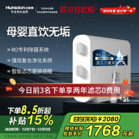 汉斯顿/Hunsdon[国家补贴] 0阻垢剂添加净水器家用直饮净水机厨下式RO反渗透母婴直饮机自来水过滤器D3