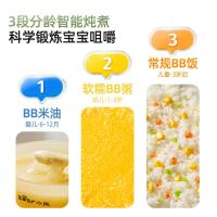 小熊(Bear)婴儿辅食锅陶瓷 婴儿专用直炖电炖锅 分月龄BB煲粥煮饭炖汤锅1L