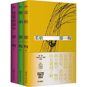[N]恋爱的犀牛+柔软+琥珀(全3册)-9787540480103