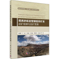 音像塔西砂砾岩型铜铅锌矿床成矿规律与找矿预测方维萱 等
