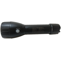 PLOCKTON 轻便式防爆手电筒 A206 个