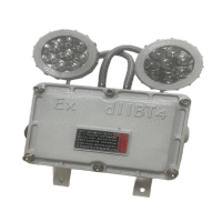 通芯 TXYJ7201 防爆应急灯 银色 6W