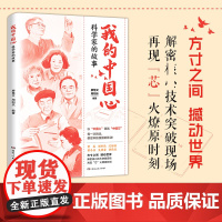 我的中国心:科学家的故事 廖慧文周阳乐编(一本讲述芯片科学家的传记合集,系统呈现中国芯片人的突围之路)湖南人民出版社