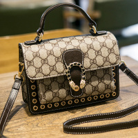 斯妮拉 包包女包新款2023单肩斜挎小包女时尚潮流秋冬休闲女士手提酒神包