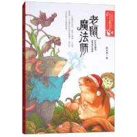 正版新书]老鼠魔法师/韩宏蓓动物童话小说韩宏蓓9787559709899