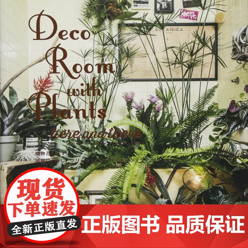 Deco Room with Plants here and there 与植物一起生活 植物与室内作品集日本空间花艺设
