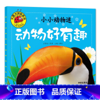 动物好有趣 [正版]大图大字我爱读小小动物迷 动物好萌啊 好奇怪 好威风 好有趣彩图注音儿童启蒙认知动物百科全书幼儿园一