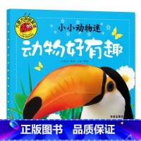 动物好有趣 [正版]大图大字我爱读小小动物迷 动物好萌啊 好奇怪 好威风 好有趣彩图注音儿童启蒙认知动物百科全书幼儿园一