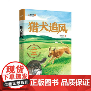 猎犬追风