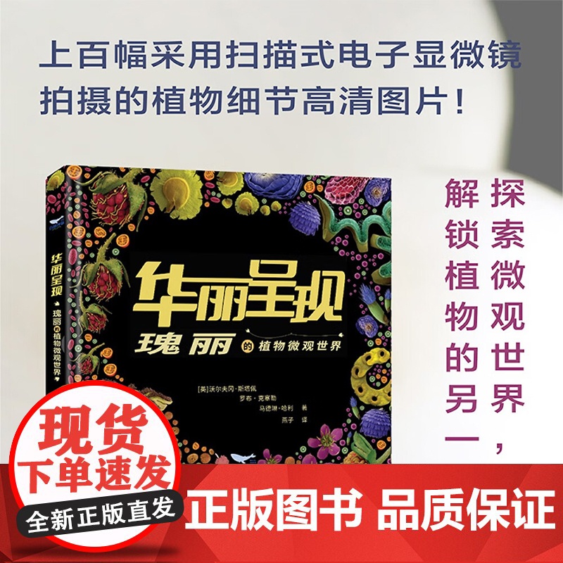 华丽呈现 瑰丽的植物微观世界 沃尔夫冈·斯塔佩等 著 剖析植物种子结构放大植物内部细节了解植物生长那个与繁衍奥秘 科普读