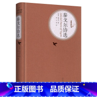 [正版]泰戈尔诗选 初中生高中学生课外阅读小说书籍泰戈尔诗集导读新月集书籍九年级上册经典诗选