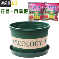 三维工匠塑料玫瑰盆栽花肉肉绿萝月季专用加伦树脂家用特大号超大加仑花 [3个盆]+月季肥3包 矮胖1L(口径13.花盆容器