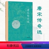 [正版] 中华书局 唐宋传奇选 平装 一代之奇唐传奇历史史实文学小说