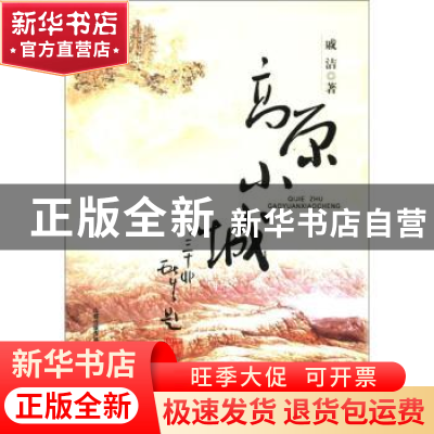 正版 高原小城 戚洁著 北岳文艺出版社 9787537836807 书籍