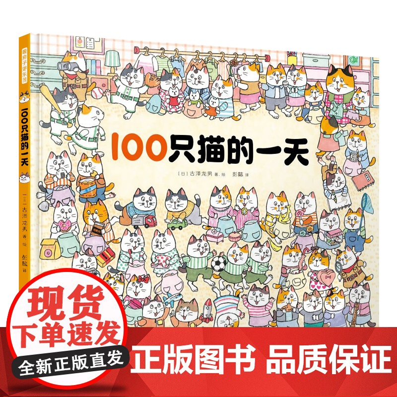 100只猫的一天