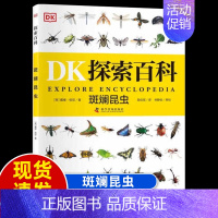 [DK探索百科]斑斓昆虫 [正版]dk儿童恐龙百科全书邢立达译史前动物大全巨兽生物怪兽图鉴各个时期六角霸王翼龙世界特征生