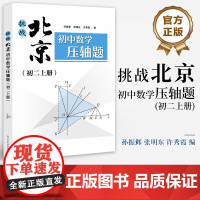 店 挑战北京初中数学压轴题 初二上册 孙振邺 张明东 许秀霞 初中学校期末考试中考数学题库系列 电子工业出版社