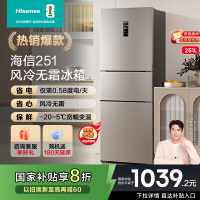 海信BCD-251WYK1DPJ