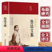 [正版]3本38元鲁迅文集 原著经典精装无删减朝花夕拾鲁迅杂文集小说集散文集呐喊彷徨野草鲁迅的书故乡故事狂人日记阿q正