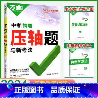 中考物理[压轴题] 初中通用 [正版]2024数学压轴题全解析物理化学全国版专项训练初中数学函数几何模型辅助线初二初三八