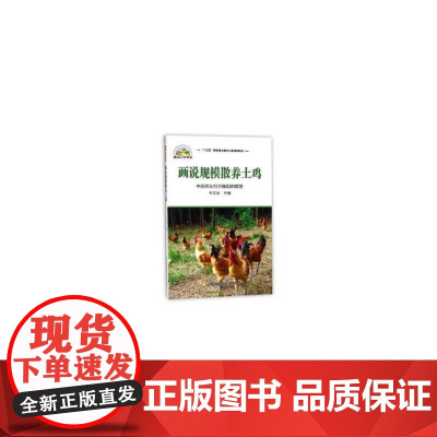 画说规模散养土鸡