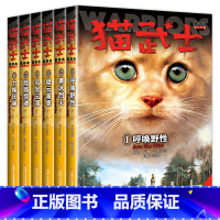 猫武士首部曲[全6册] [正版]任选猫武士全套39册 猫武士首部曲一部曲二部曲三部曲四部曲五部曲六部曲七部曲
