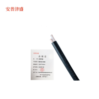 安普津盛 铜芯电力电缆 YJV2*10mm 0.6/1kv米