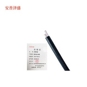 安普津盛 铜芯电力电缆 YJV2*10mm 0.6/1kv米