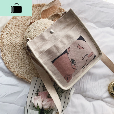 网红小女包包2020新款潮帆布斜挎包女百搭ins韩版洋气原宿ulzzangNEW LAKE女斜挎包